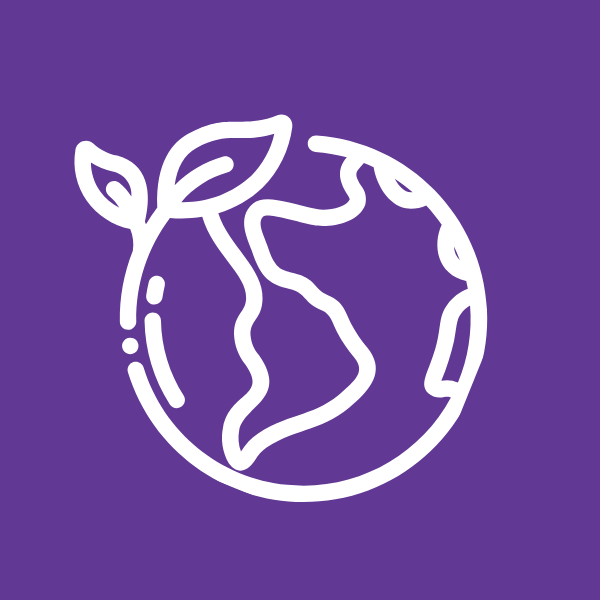 Environment Icon 